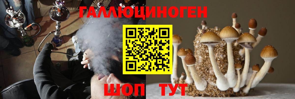 Галлюциногенные грибы Cubensis  Вход с VPN  Черняховск 